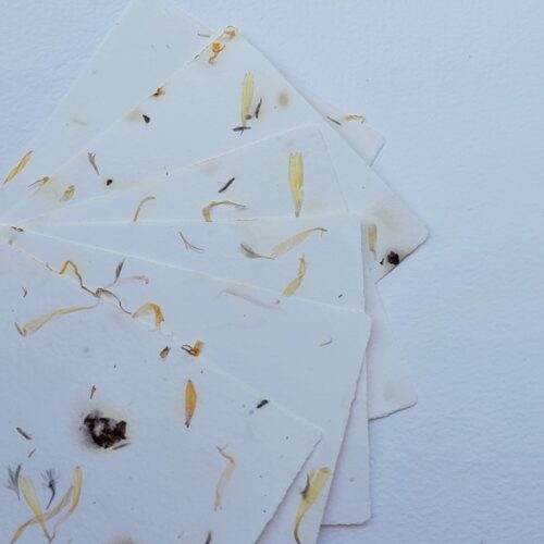 Papier pur coton fleurs séchées