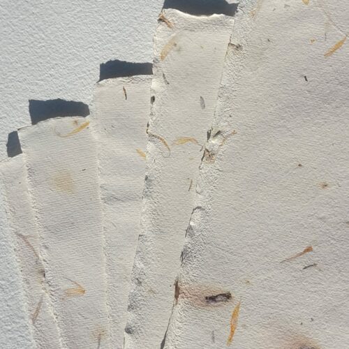 Papier coton/lin fleurs séchées