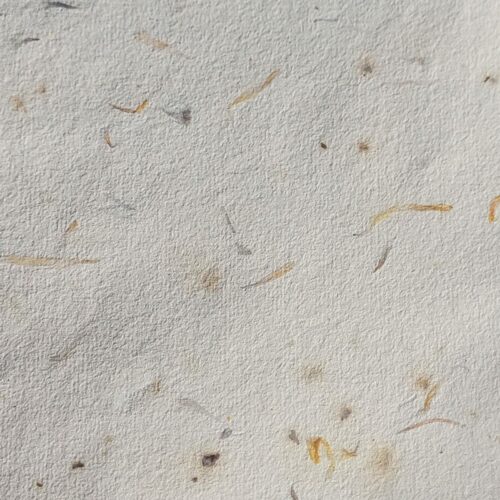 Papier coton/lin fleurs séchées